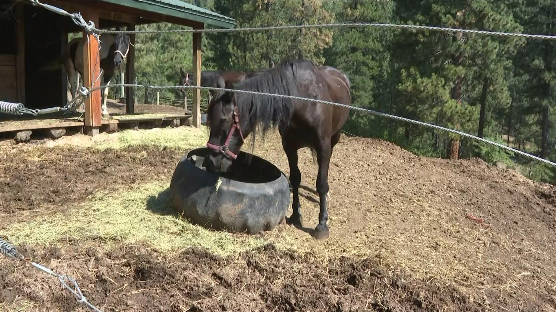 Tucked in the heart of Robie Creek, Flowing Springs Ranch boasts 4,000 acres of natural beauty. The land was once a gateway to Idaho's gold rush.