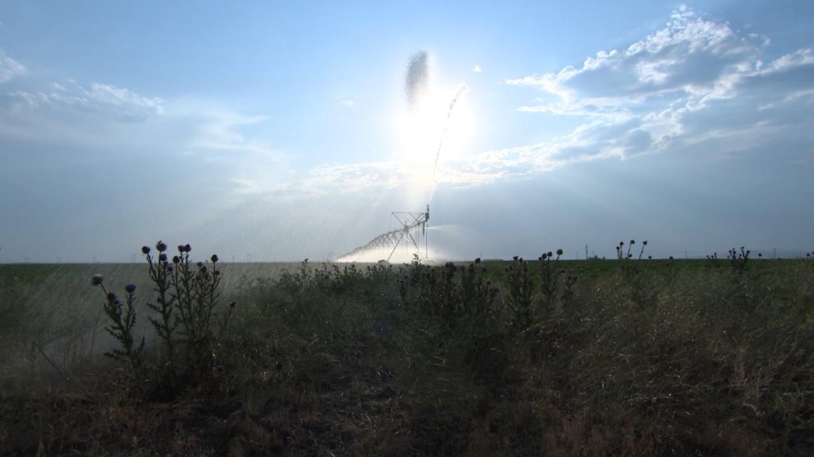 Inside Ag: Are Idaho farmers using too much water?