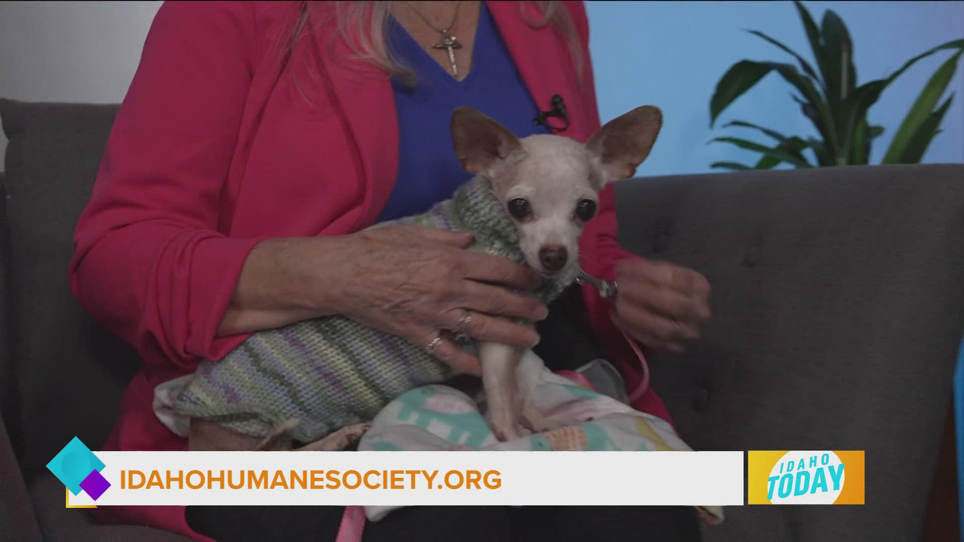 The Idaho Humane Society introduces us to Granny Smith