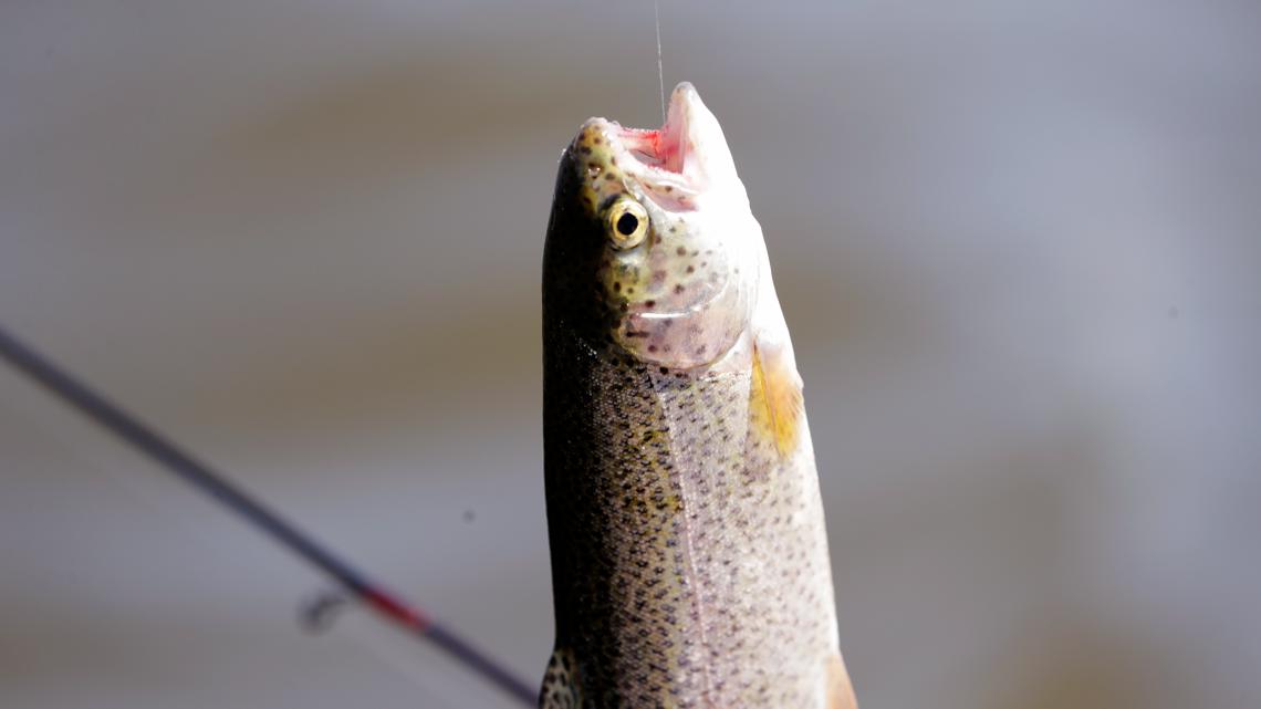 ‘Persistent drought’ impacting several southeast Idaho fisheries – KTVB