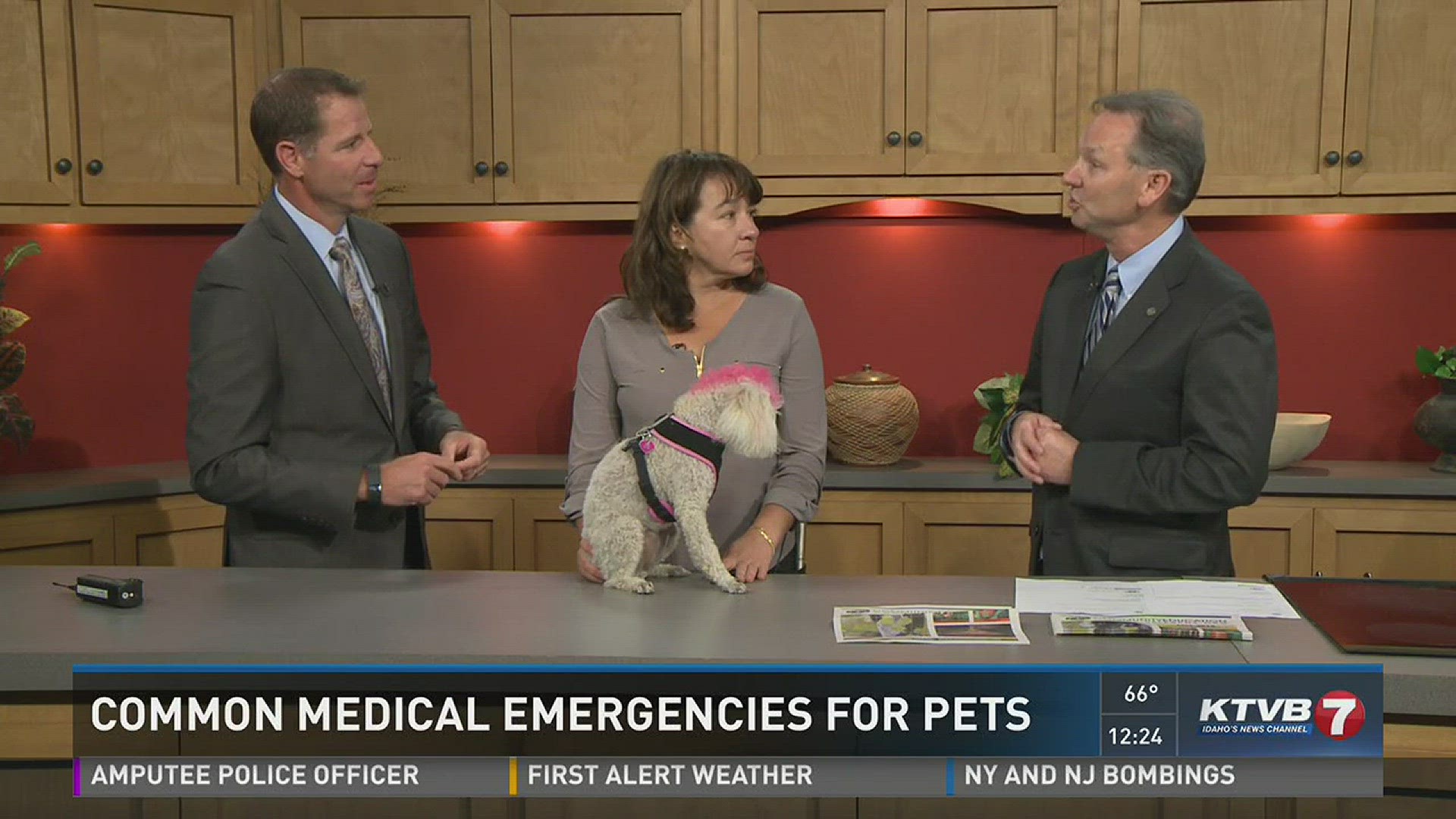 The Boise School District is offering its fall Community Education session, and it includes a class on identifying common medical emergencies for pets.  Dr. Laura Lefkowitz with WestVet and Dan Hollar with the Boise School District stopped by the News at