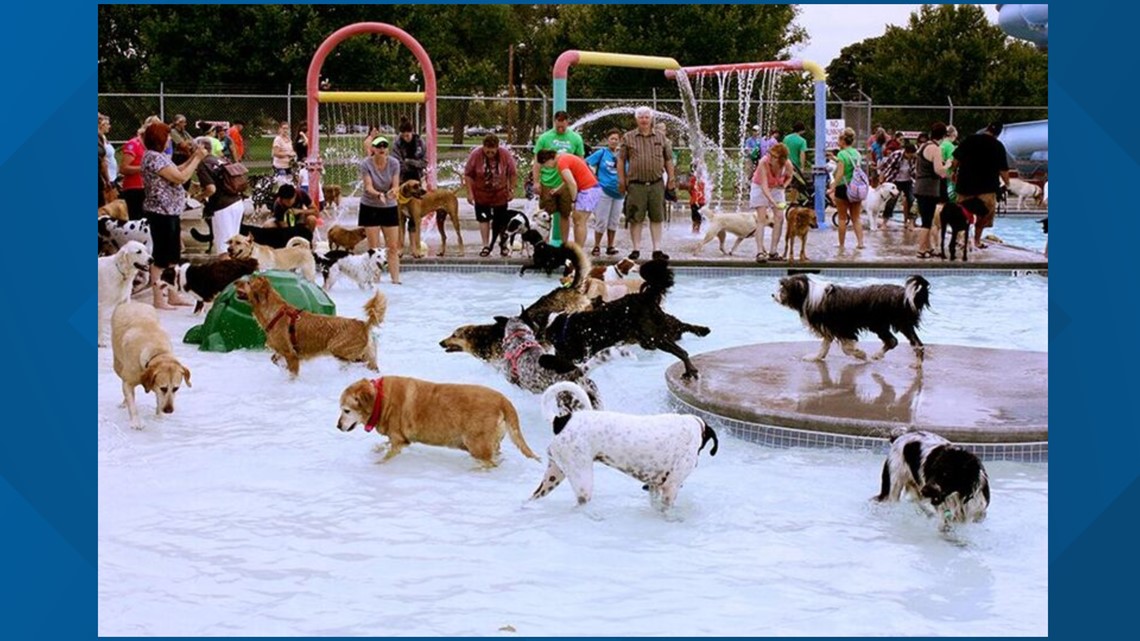 Pooch Party Stroll & Splash will raise money to support dog parks in