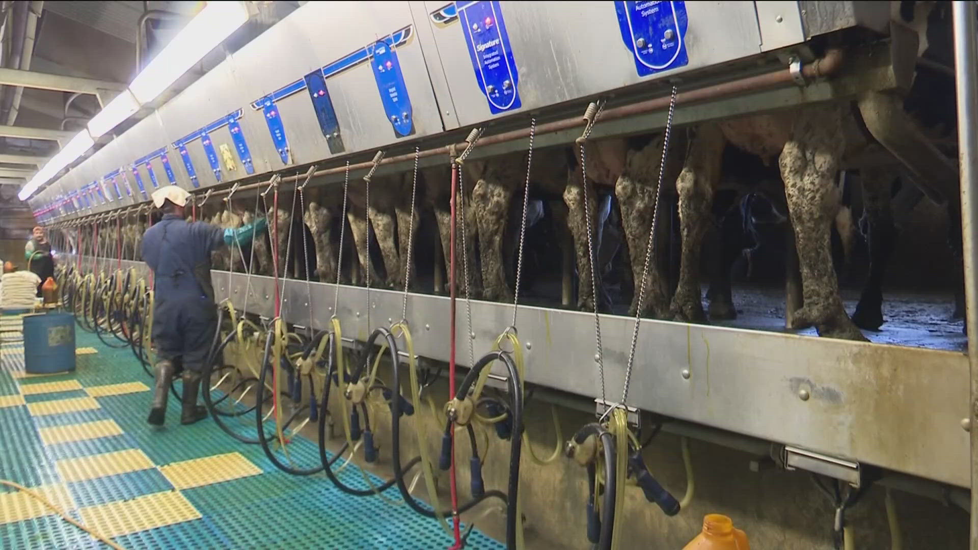 Idaho Dairy farms are bracing for the impact.