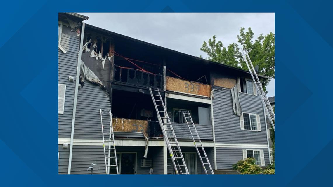 Dog rescued from Boise apartment fire - Vimarsana News