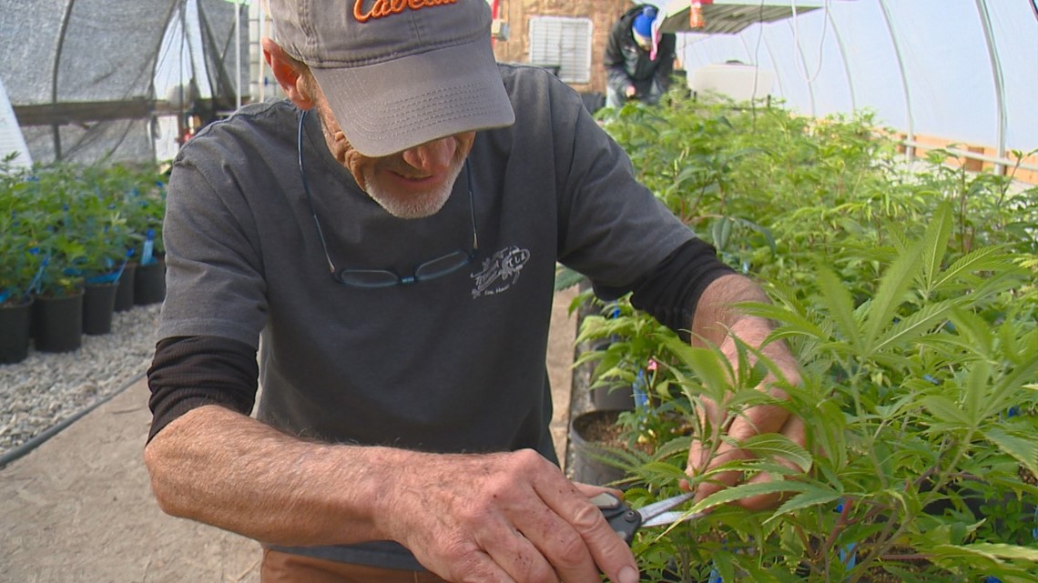 Photos Inside Burnt River Farms