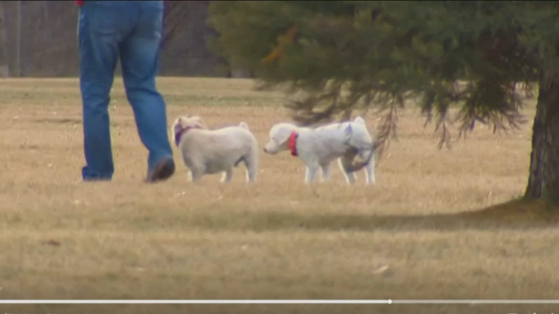 On Wednesday, dog owners can start letting their dogs roam free in three Boise parks.