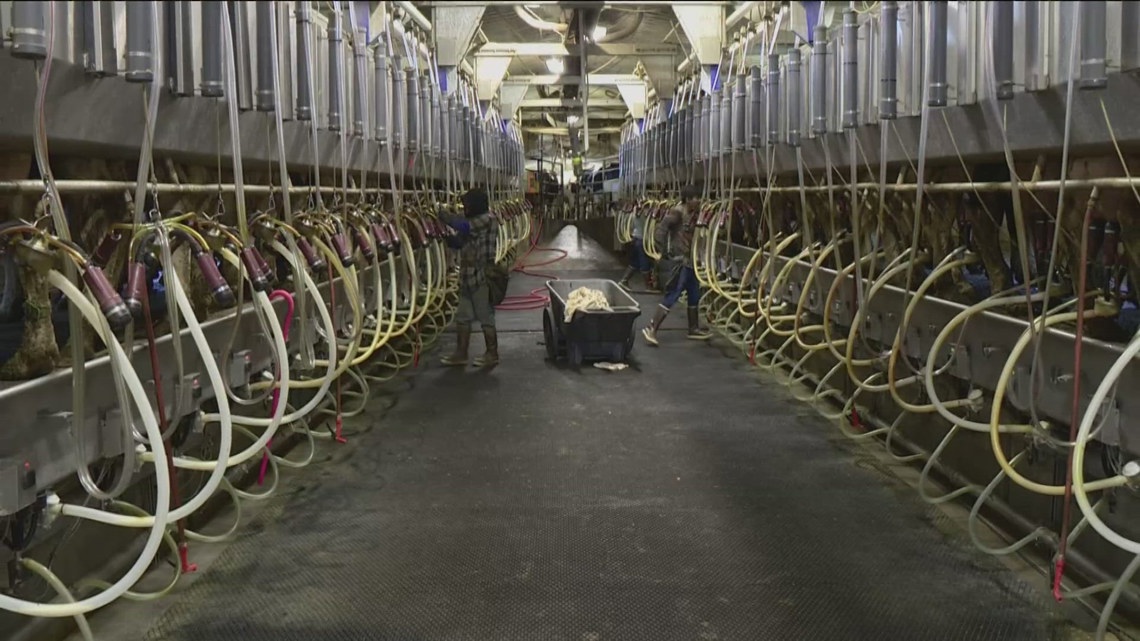 Inside Ag: Idaho dairies brace for uncertainty amid new immigration enforcement threats