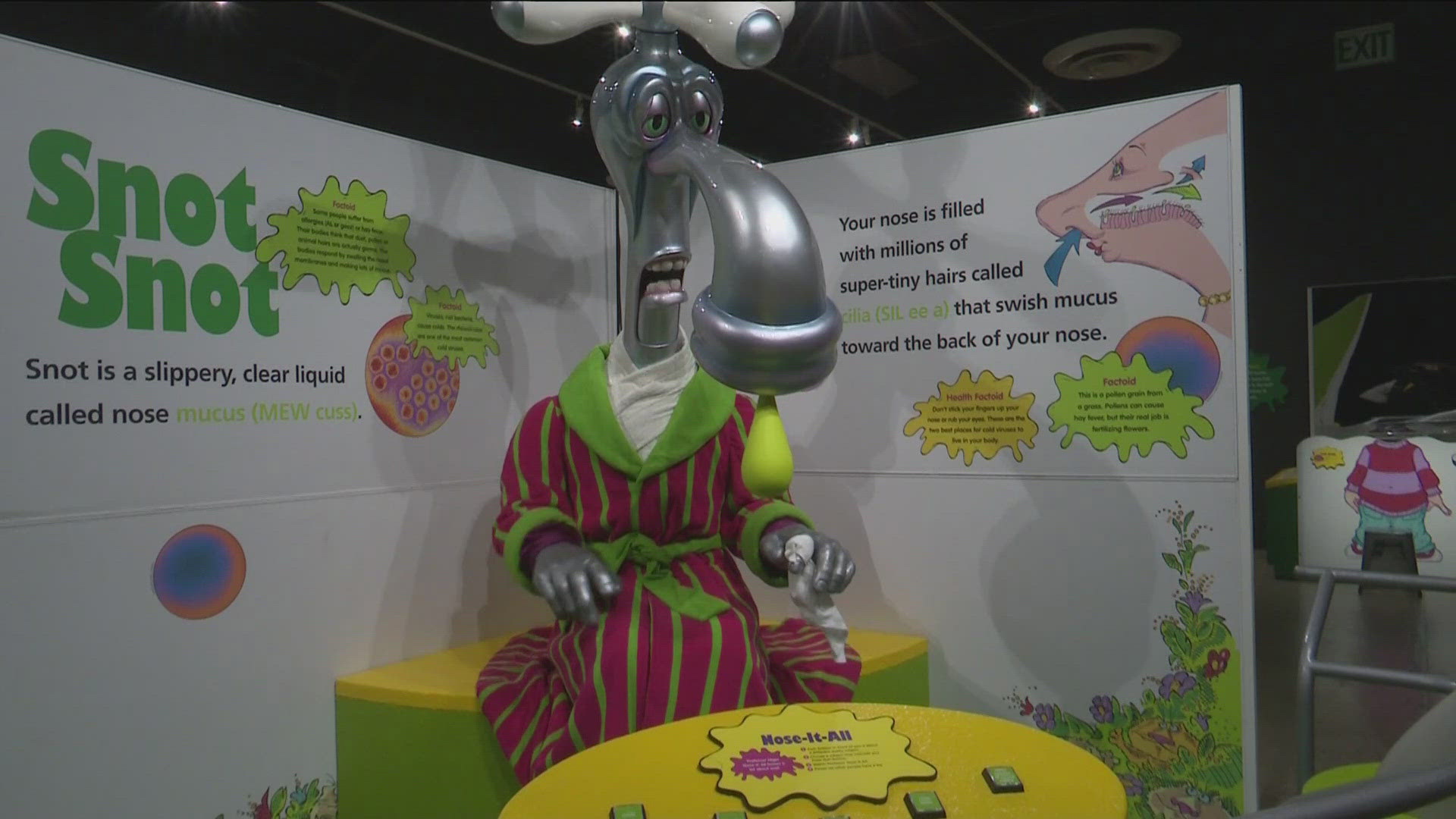 Visit DC Idaho's Grossology exhibit: Explore human body science | ktvb.com