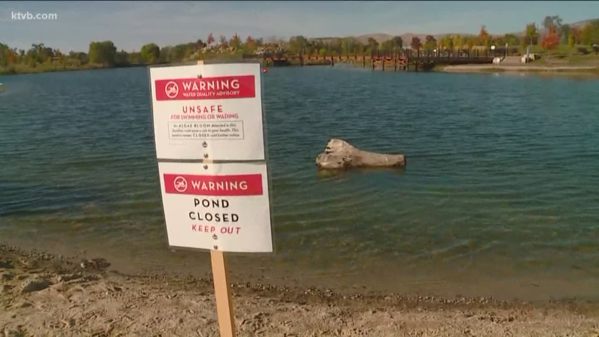 Boise Parks and Recreation officials on September 25, 2018, were asking people to stay out of the ponds while they treat that algae bloom.

