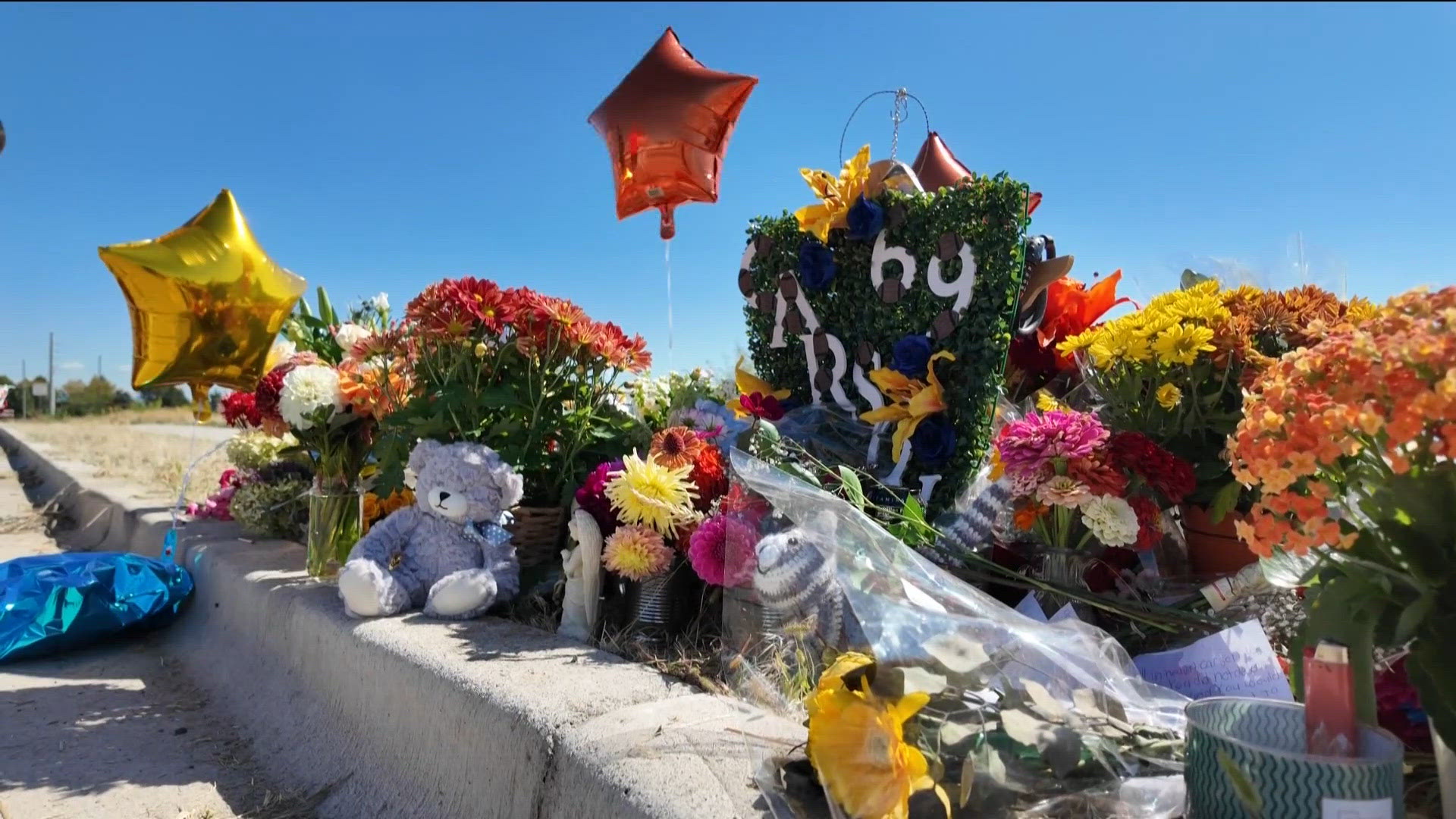 Coverage image for: Coroner identifies 14-year-old student killed in Middleton crash