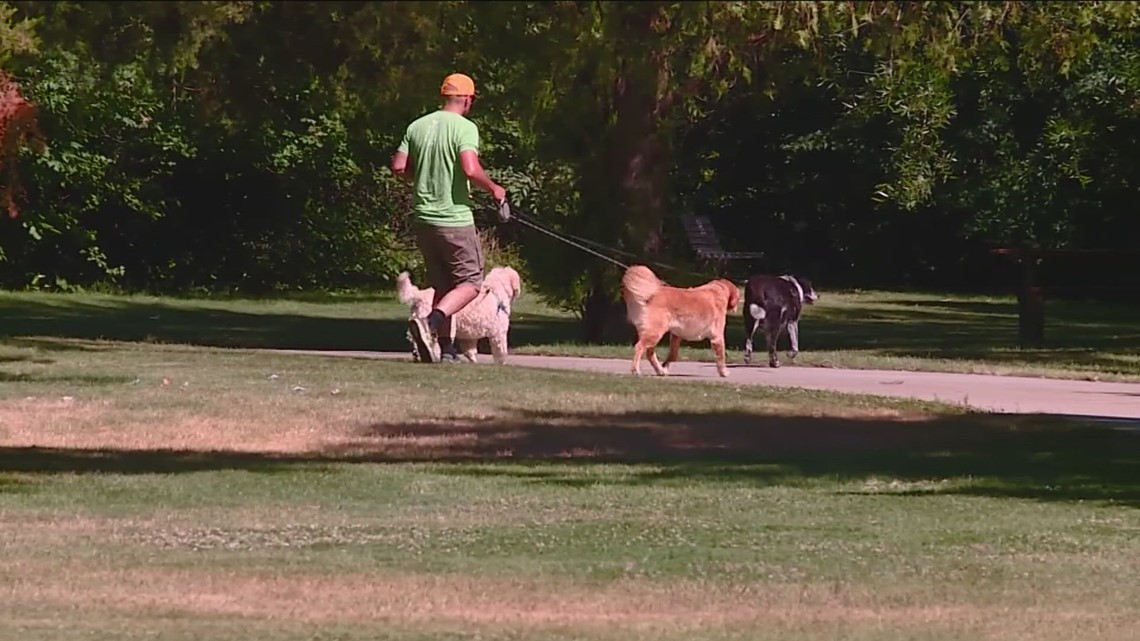 City Of Boise Ends Seasonal Off-leash Dog Program March 1 | Ktvb.com