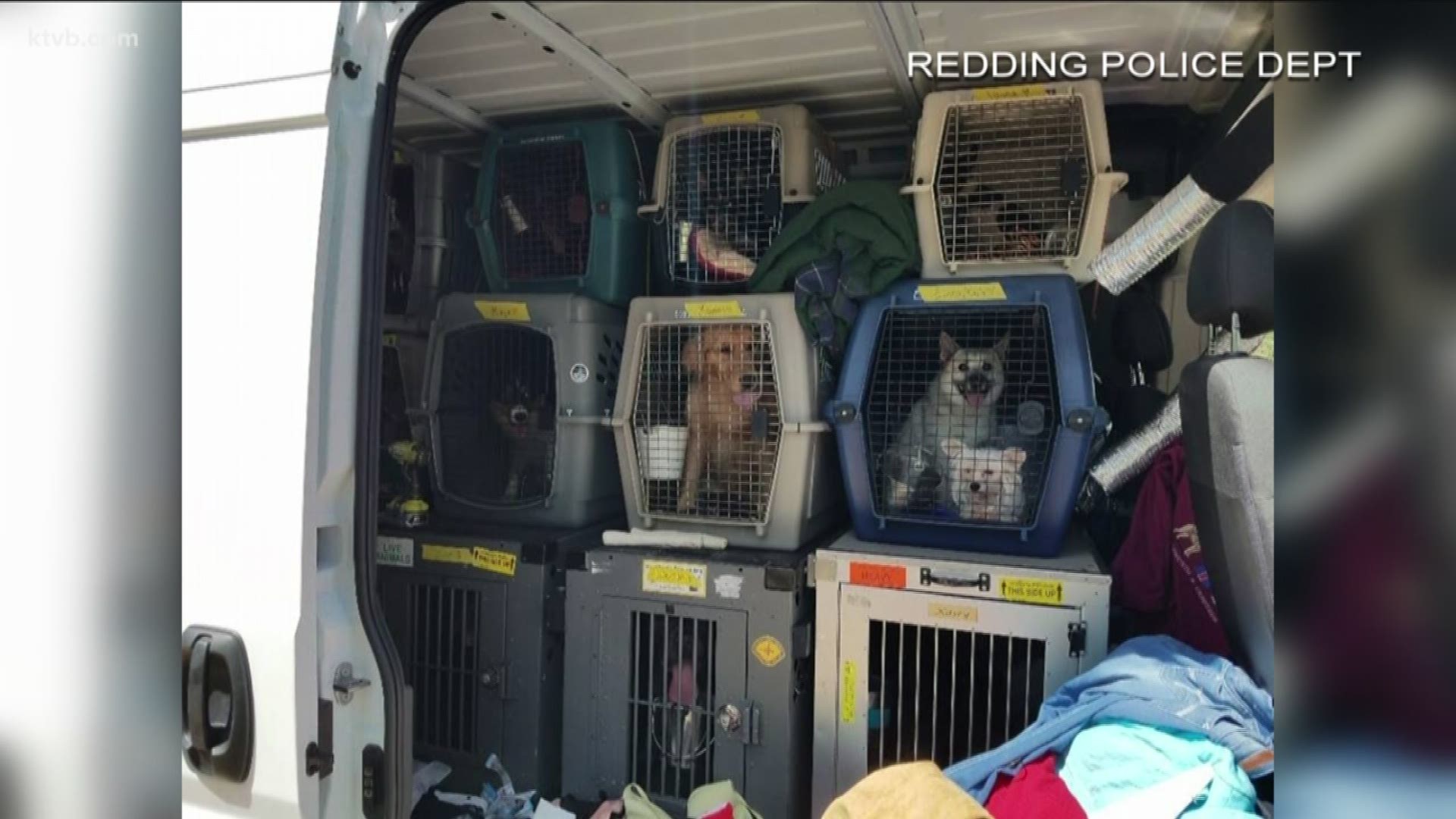Show dogs in stolen van found.