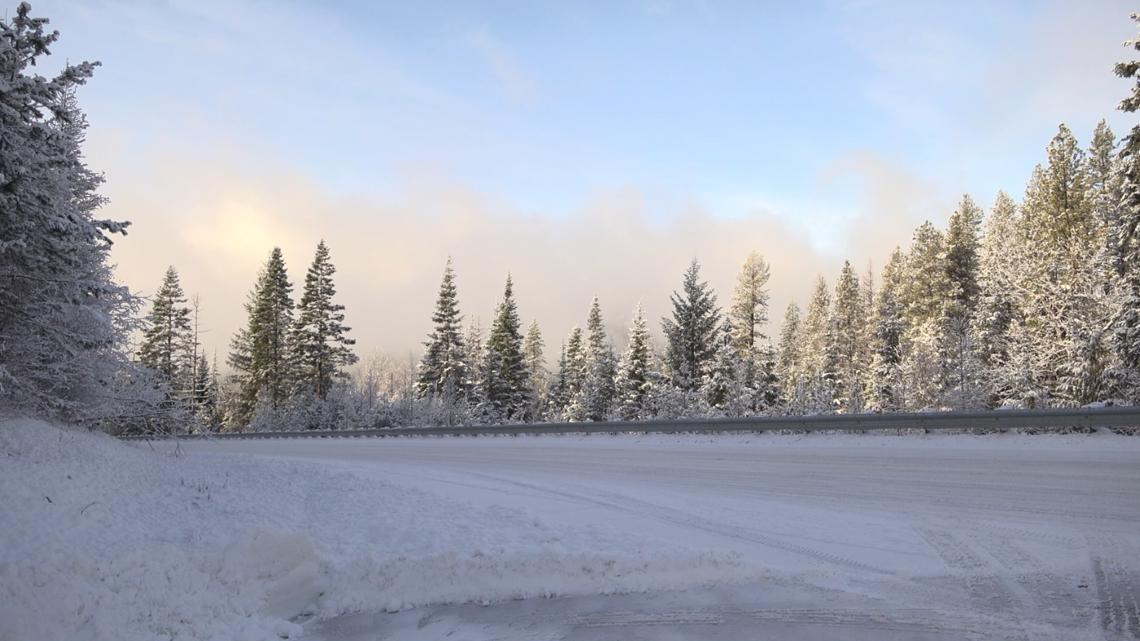 Boise National Forest offers $10 Christmas tree permits for holiday season
