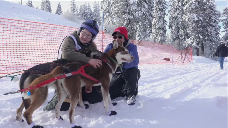 Idaho Sled Dog Challenge back for 5th year