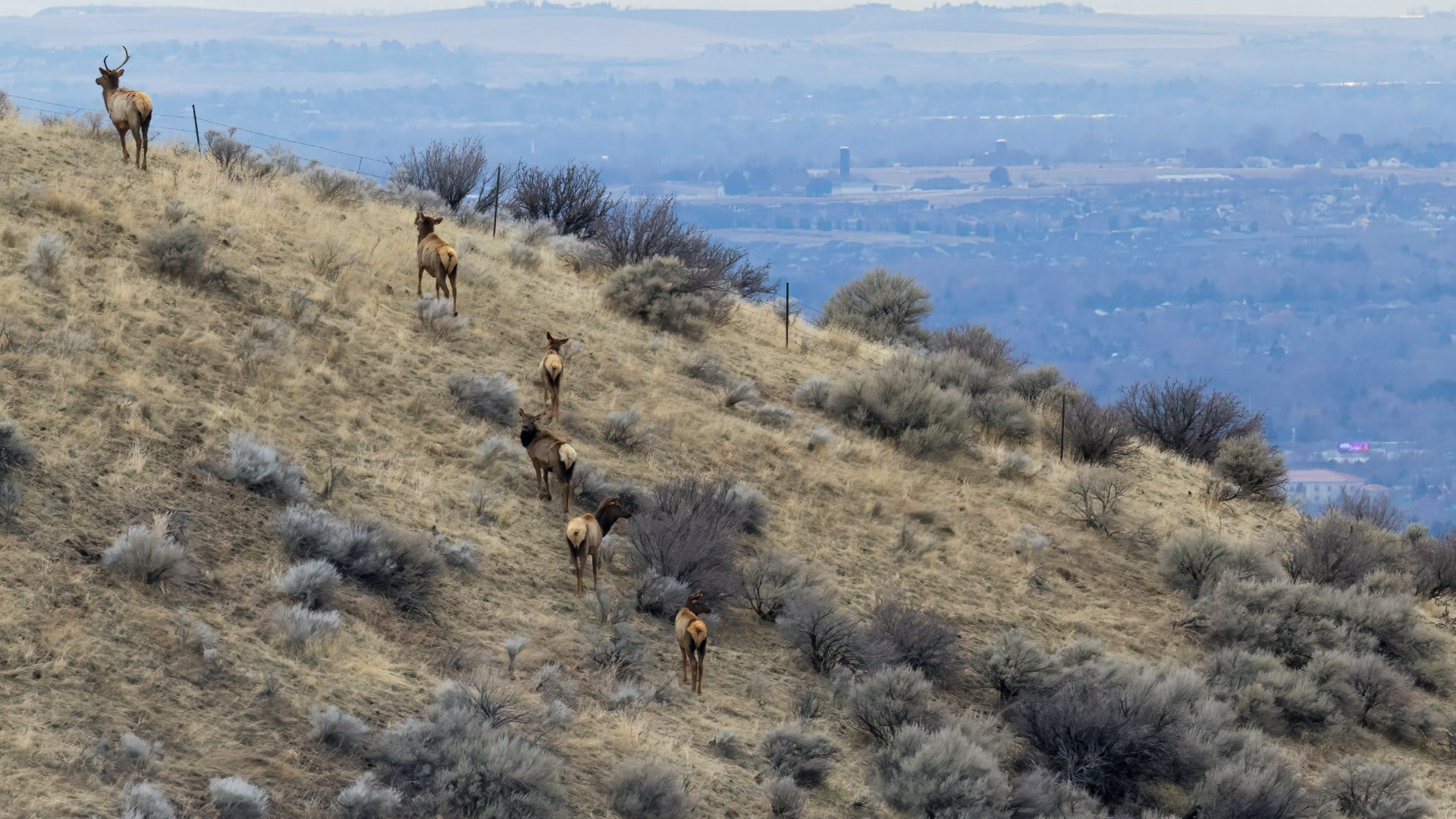 The Bureau of Land Management seeks public comment on its proposed purchase of 350 acres of land in the Boise Foothills.