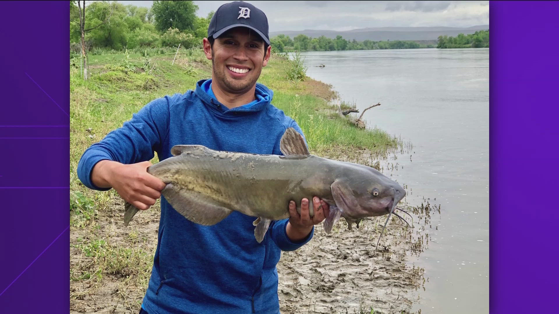 Channel catfish are underrated gamefish. Their large size and willingness to take a variety of lures and baits make them a popular target for anglers.