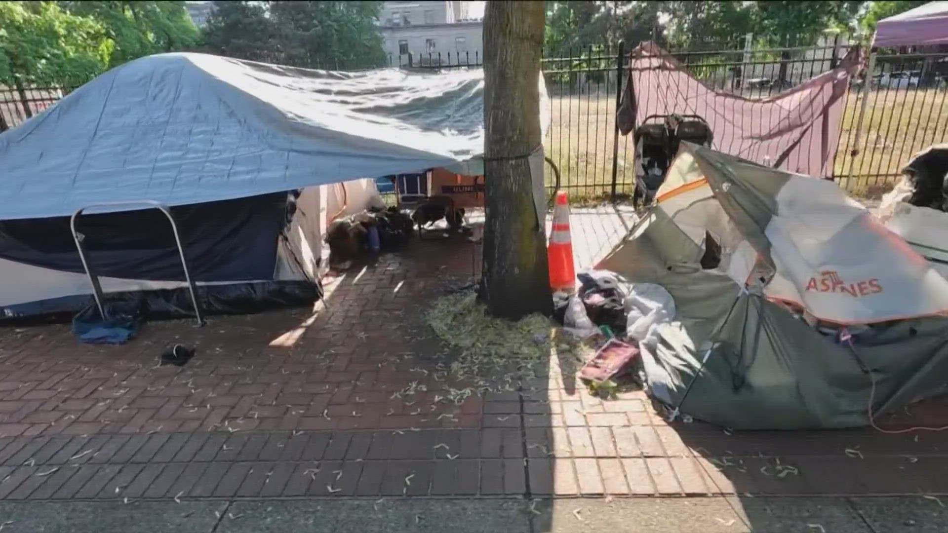 Grants Pass is also challenging a 2018 decision, known as Martin v. Boise, that first barred camping bans when shelter space is lacking.