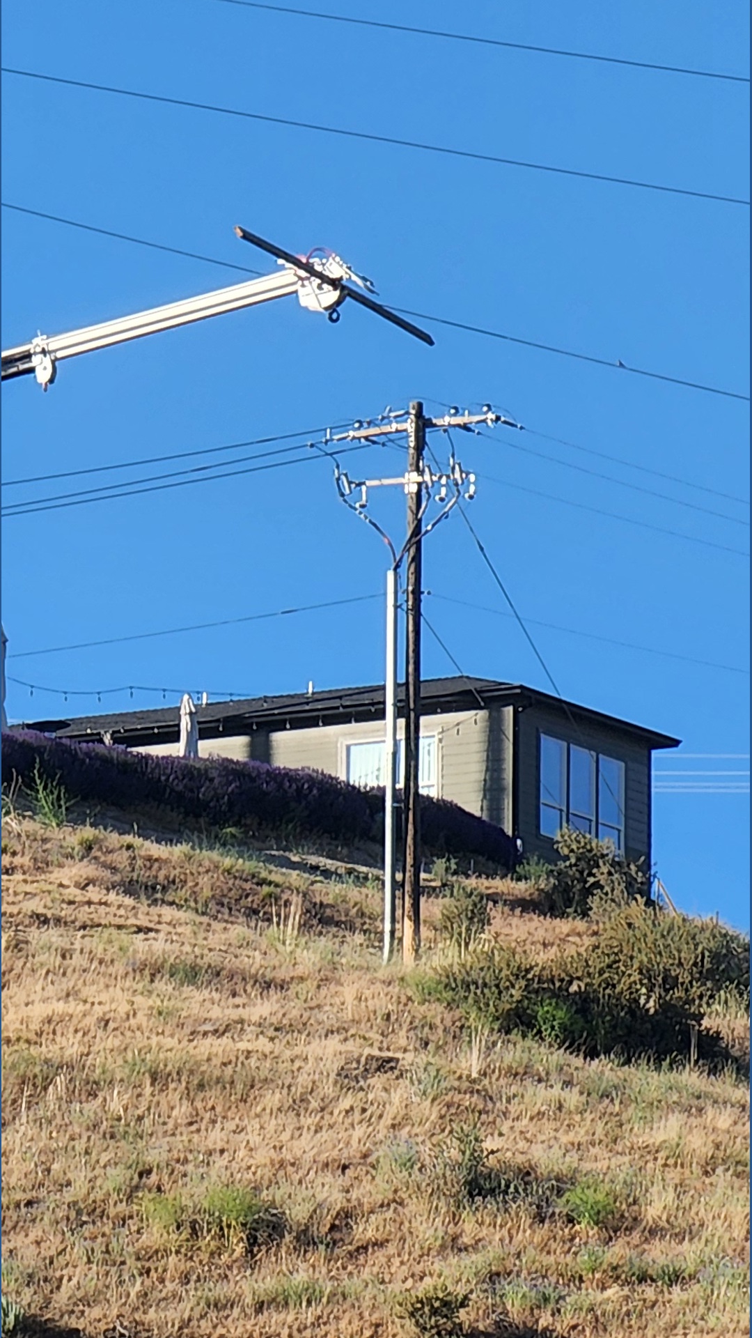 Downed power lines spark grass fire in foothills | ktvb.com