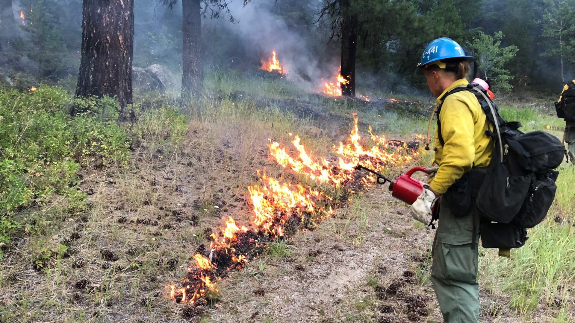 Boise National Forest prescribed burns Here's where it could get smoky
