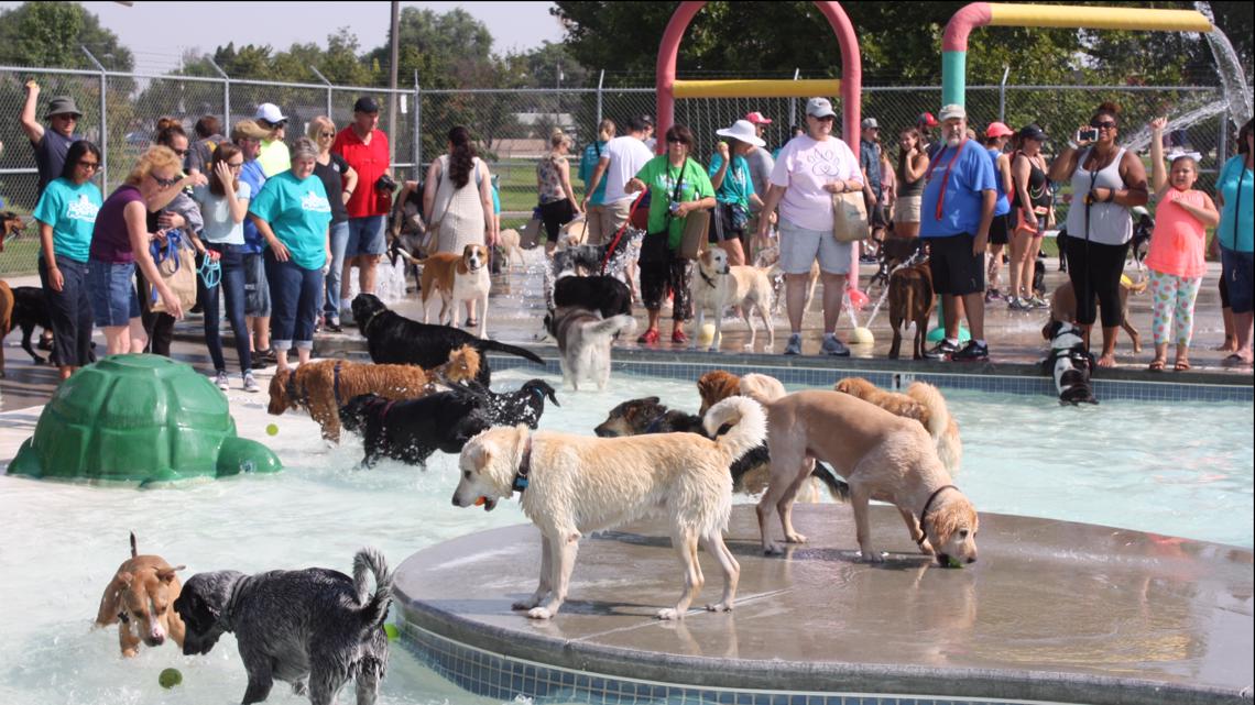 Pooch Party Stroll & Splash will raise money to support dog parks