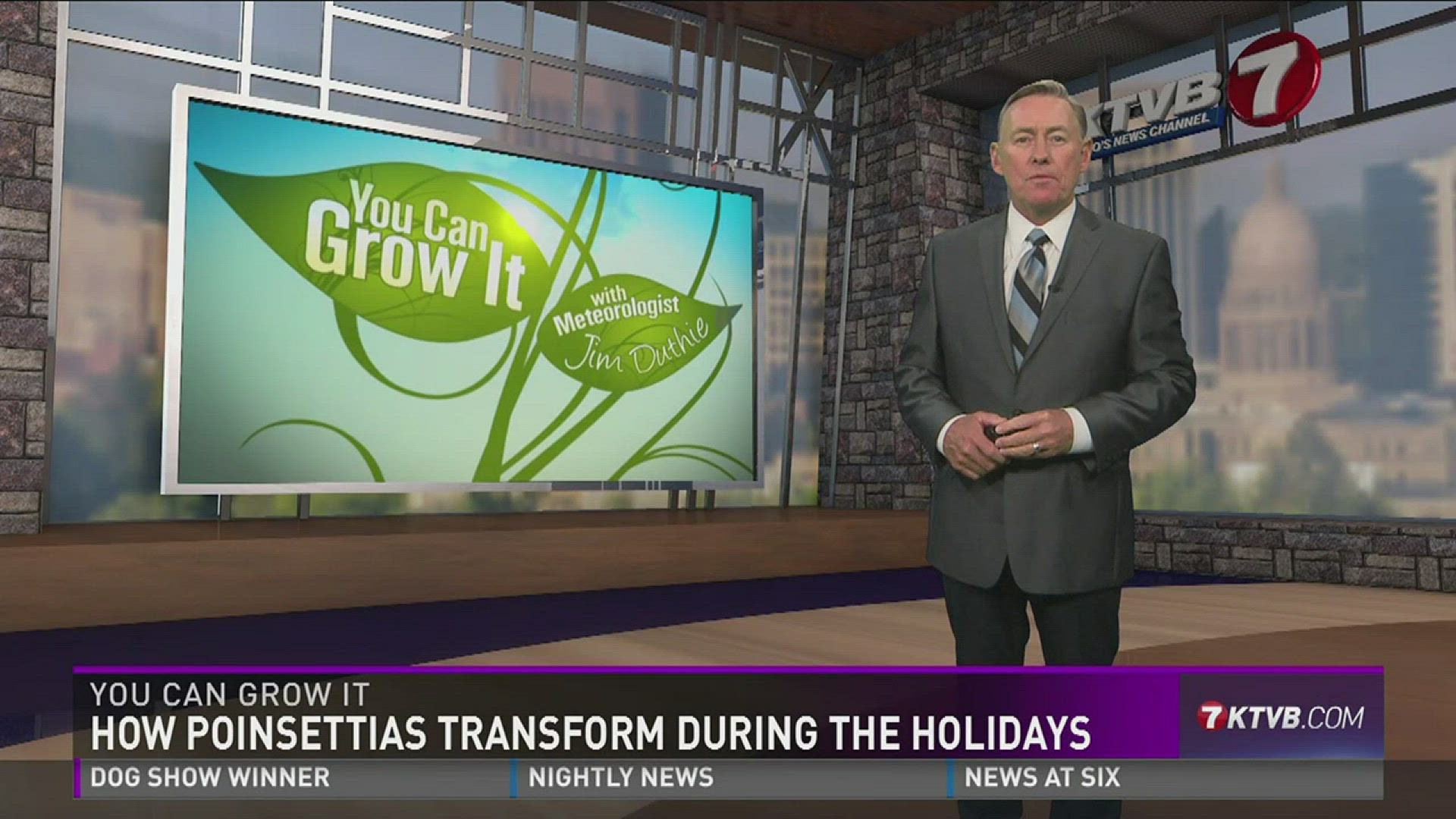 Holiday decorations are going up, and a favorite Christmas symbol is appearing in stores and displays around the area. Garden master Jim Duthie tells us all about these fascinating and beautiful plants, and shows us how they magically transform into all o