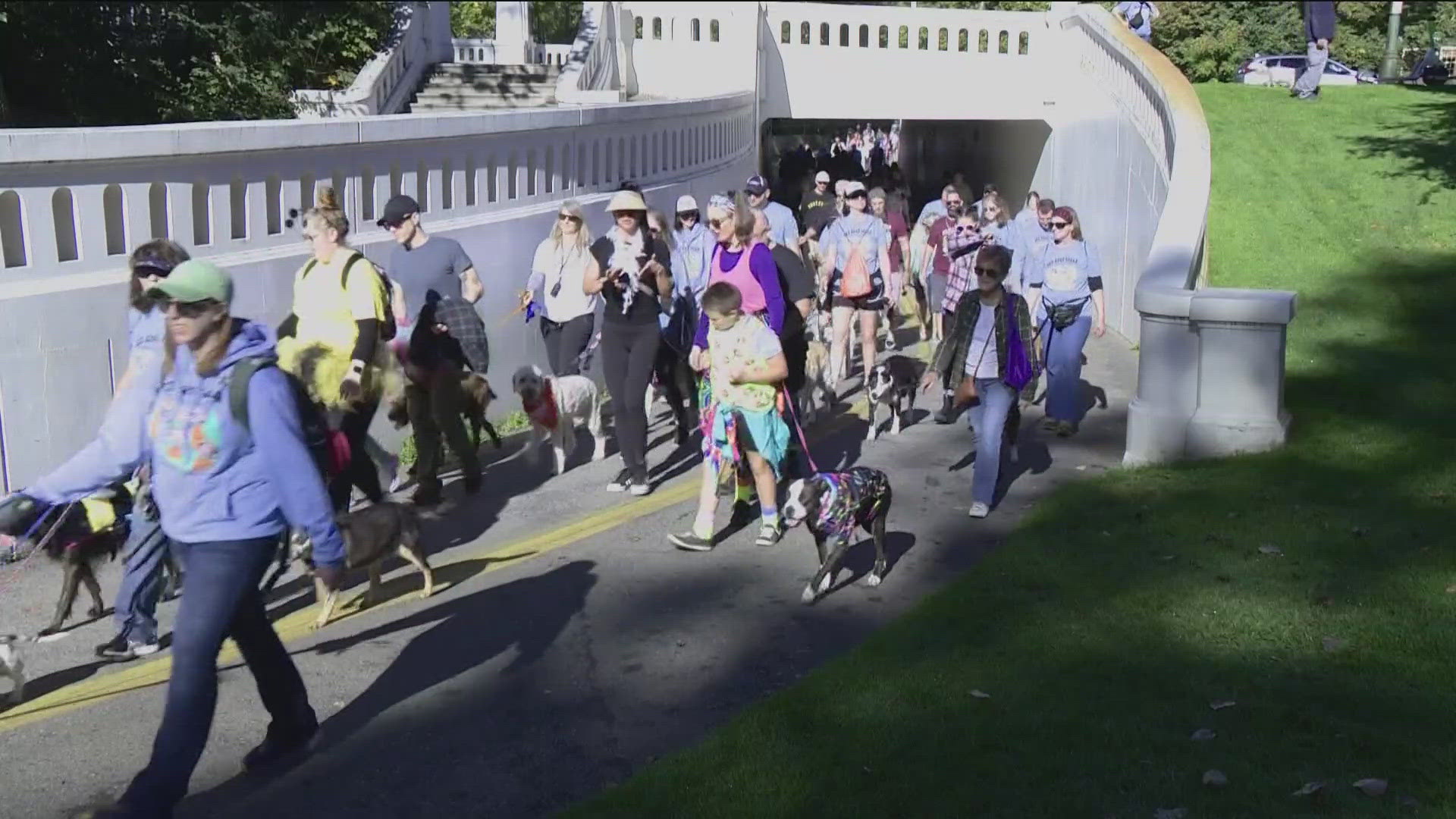 The Idaho Humane Society is hosting the annual See Spot Walk festival and community dog walk at Julia Davis Park starting at 10 a.m. Saturday, Oct. 4. 
