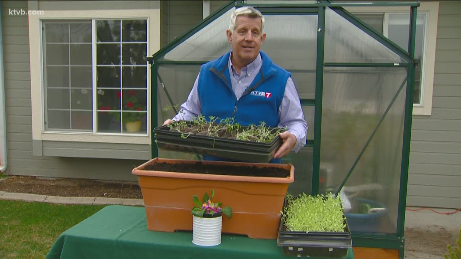 Jim Duthie says now is a good time to plant early spring vegetables that you can harvest in just a few weeks.