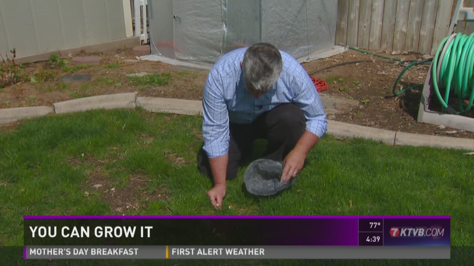 Jim Duthie shows us what you can do about mushrooms growing in your lawn.