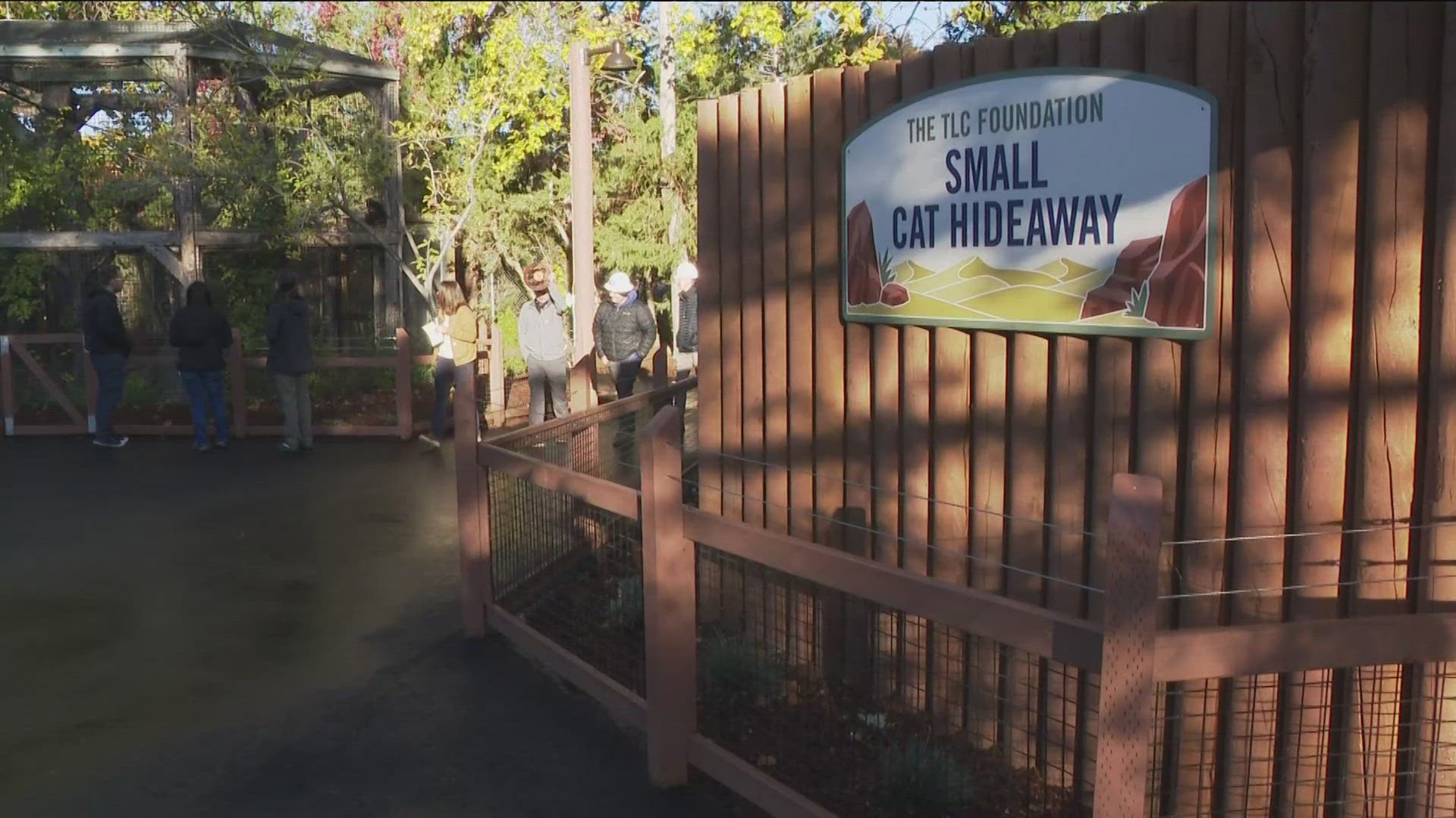 The new and improved Small Animal Kingdom at Zoo Boise includes a special home for sand cats, a new meerkat habitat, new Aldabra tortoise habitats and more.