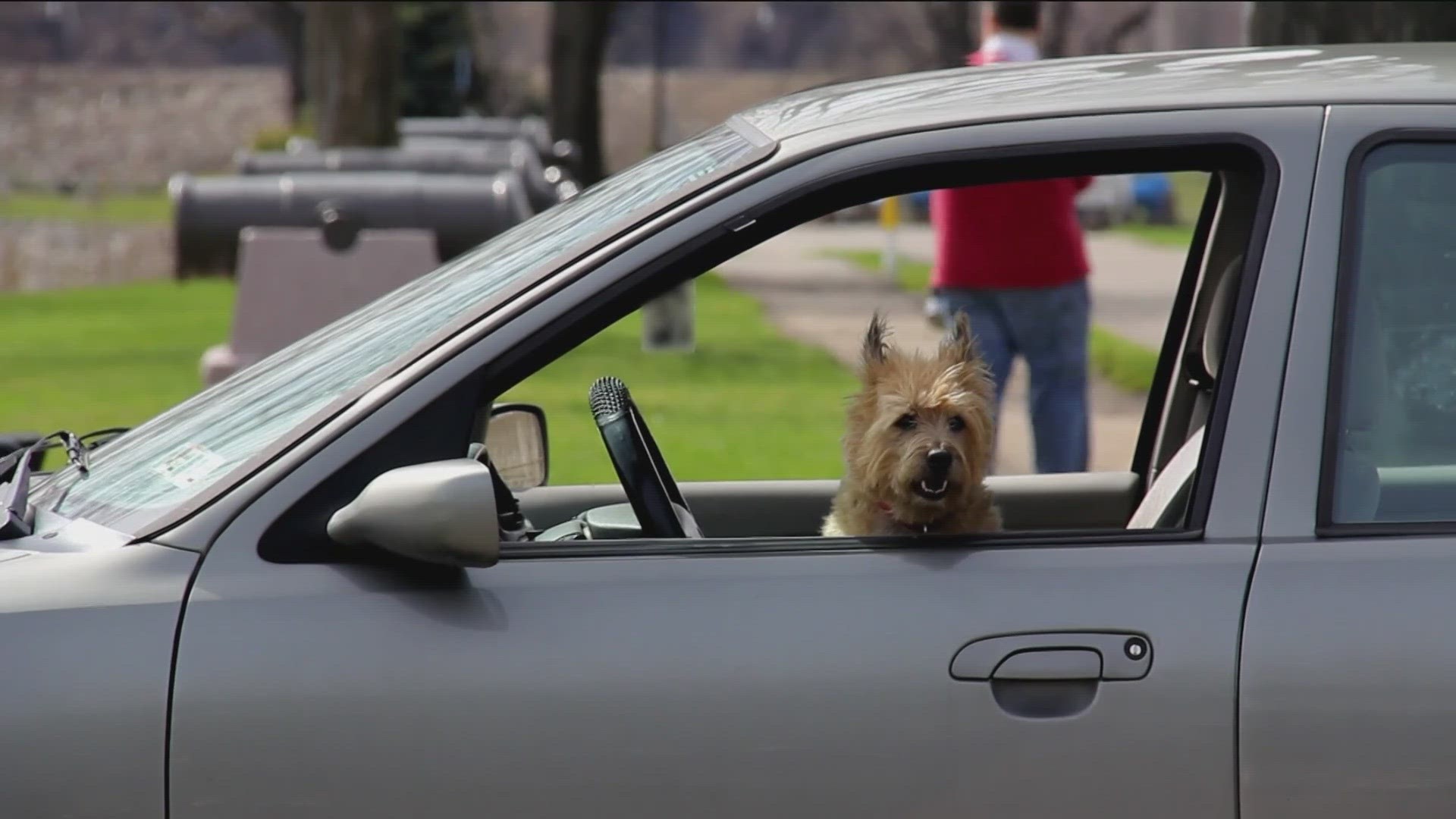 Never leave a pet locked in a hot car and if you see one in a car, the Idaho Humane Society said you can report it.