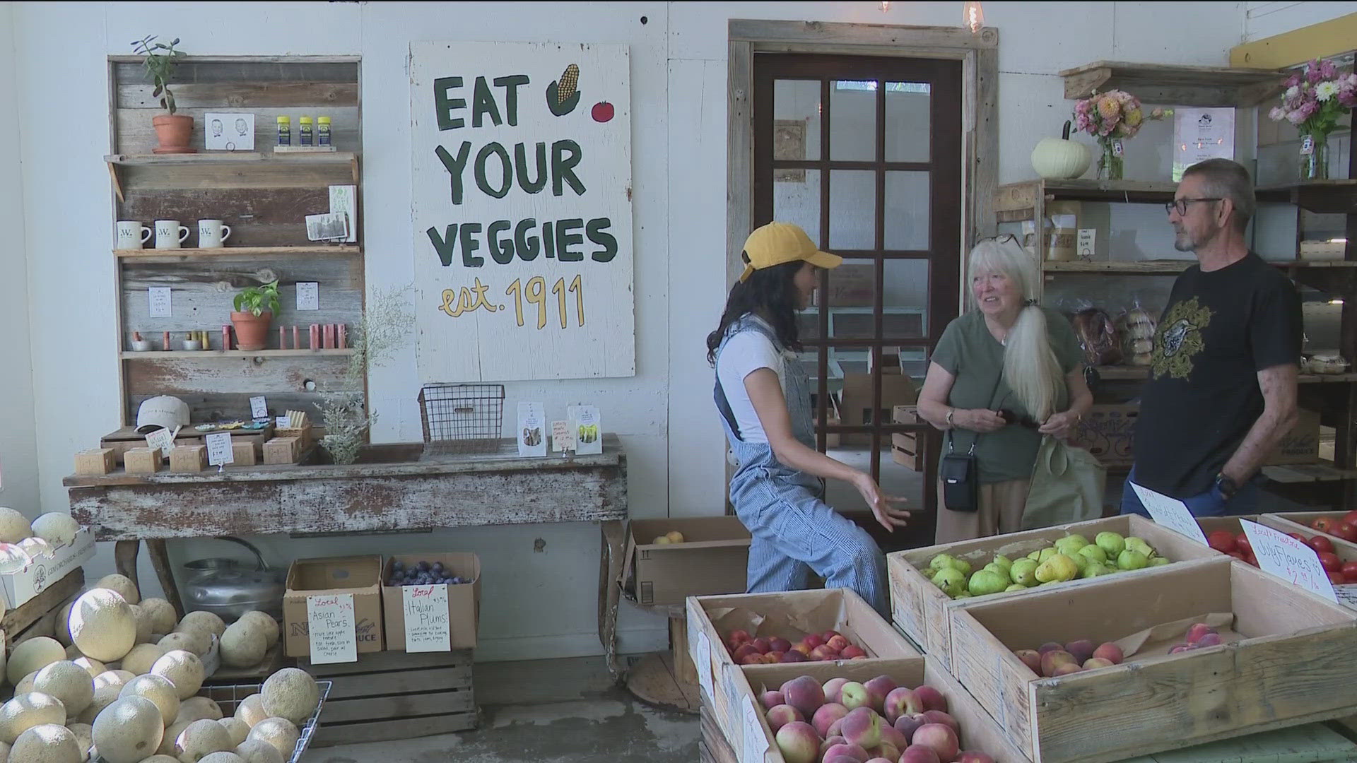 From big city dreams to family roots, one woman came back home to be the next generation to take over the family farm.