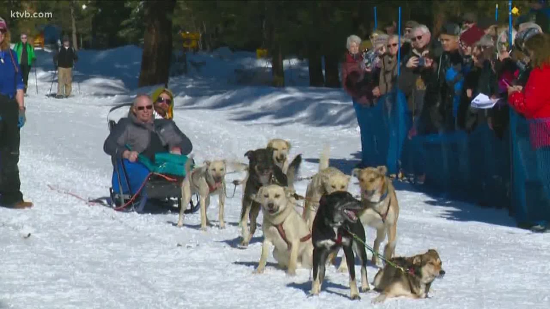 Thirteen teams from around the world showed up in McCall for the second annual dog sled challenge.