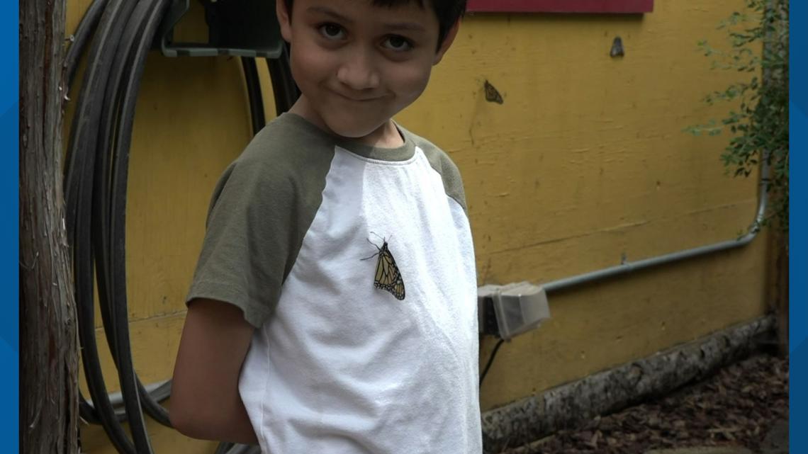 Mark the metamorphosis Zoo Boise opens 'Butterflies in Bloom' exhibit