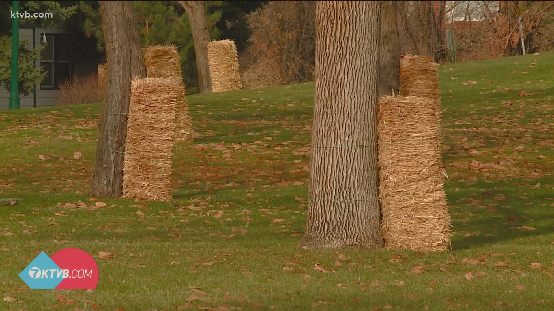 The Boise Parks and Recreation puts up the bales to protect people sledding down the slope into the park.