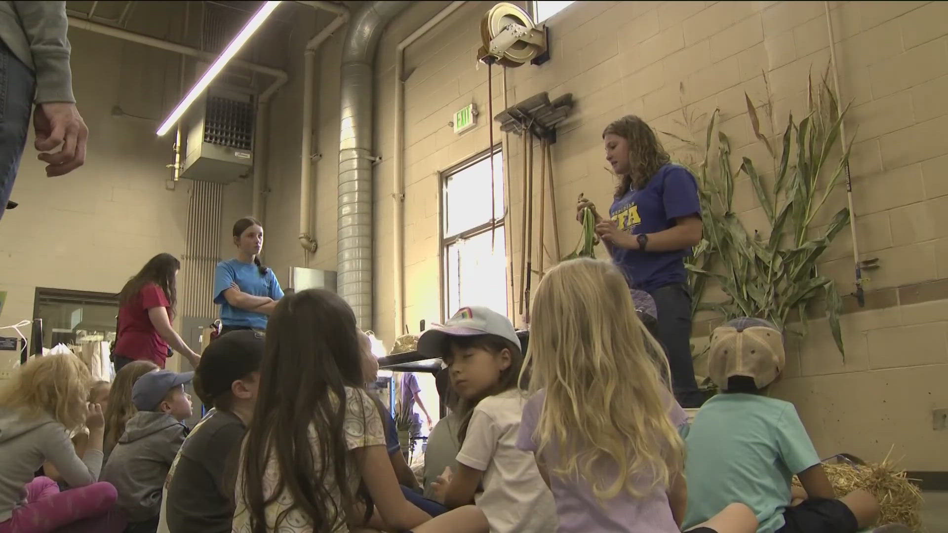 40% of children between the ages of four and seven believe bacon, hot dogs, and chicken nuggets came from plants. A local organization hopes to change that.