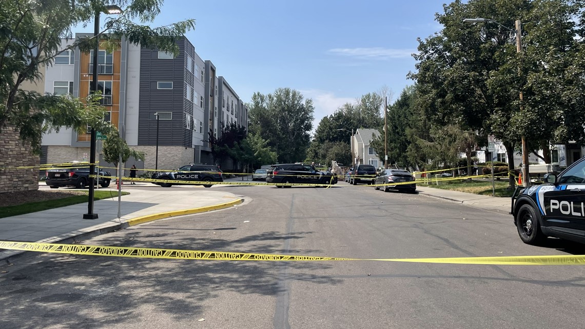 Watch live: Boise Police media briefing on shooting near Ann Morrison Park - Vimarsana News