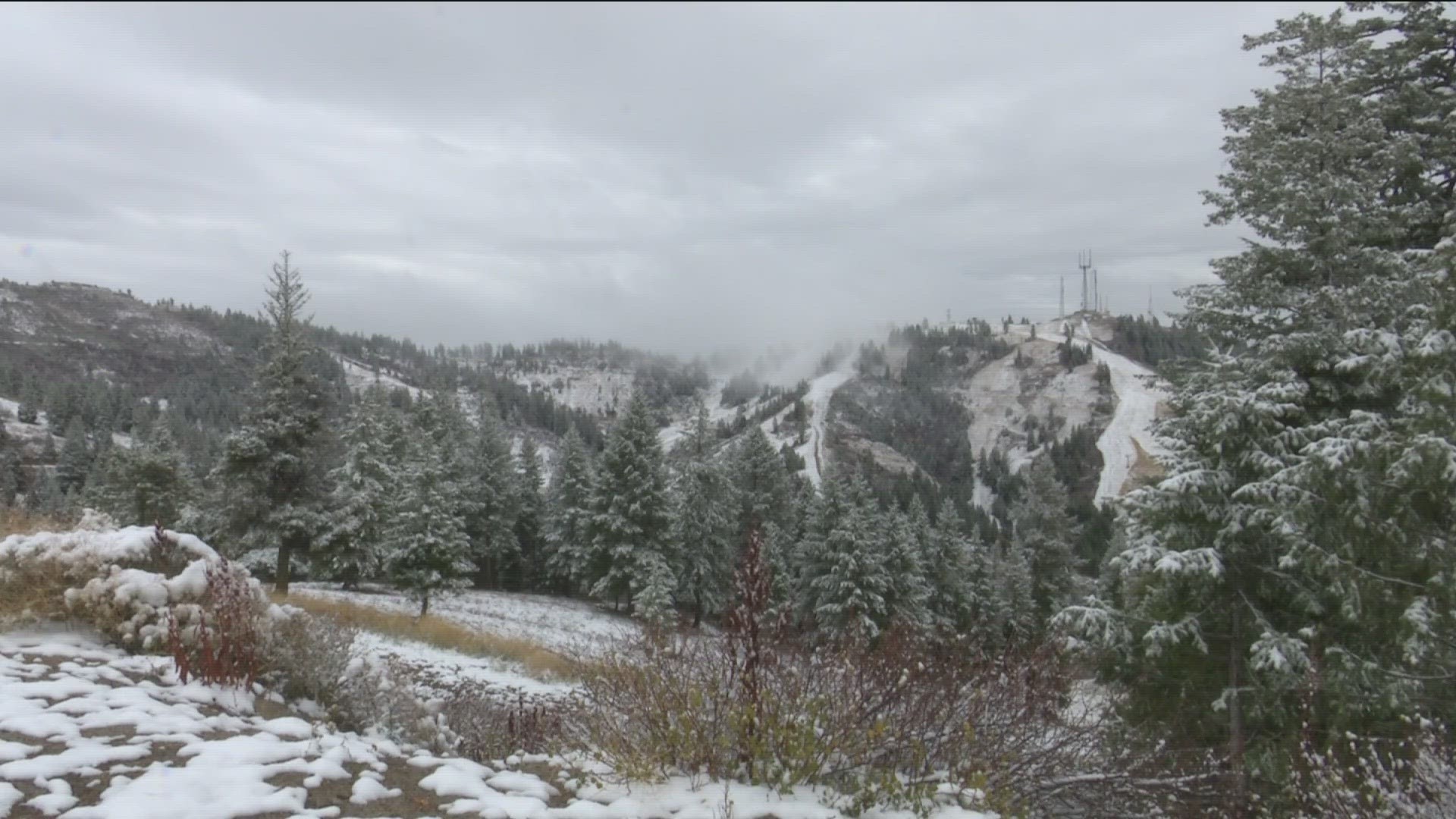 Update Bogus Basin Road reopened after fallen tree removed, lift