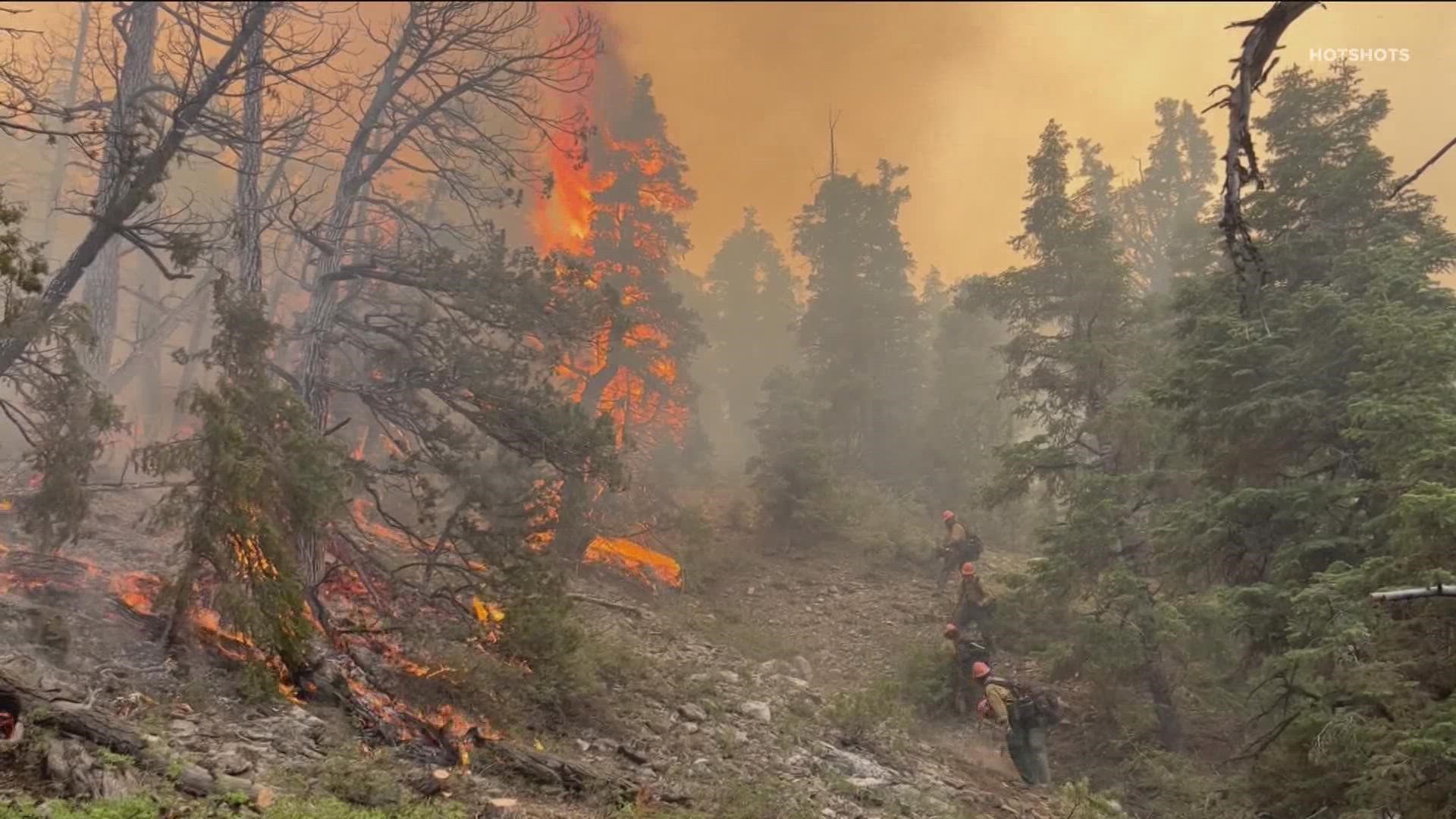 Idaho City’s Hotshot Crew work in the woods. We don’t often see them, but they work 24/7 to fight fires like the Moose Fire. Now, they are spreading awareness.