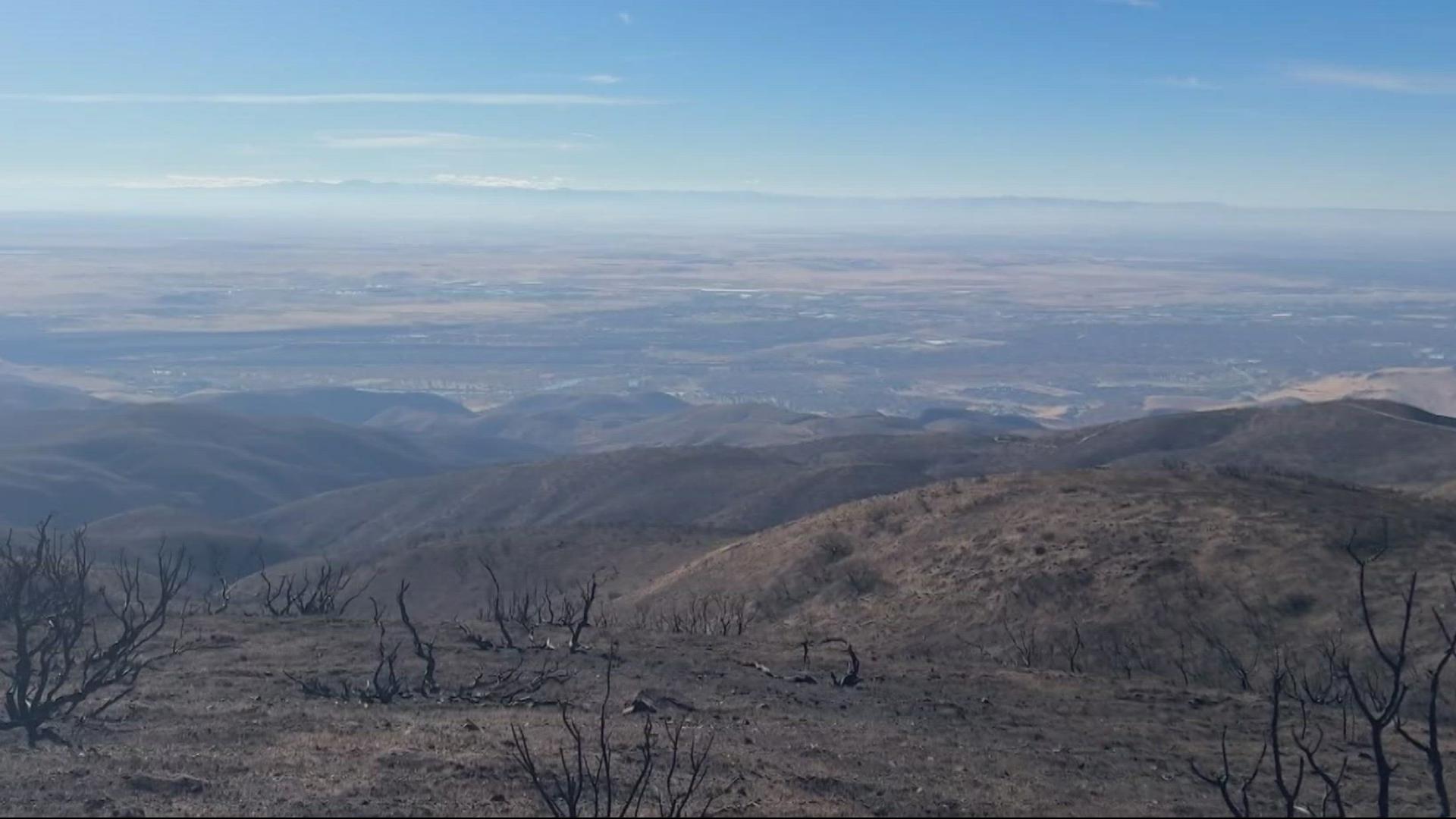 Idaho Fish and Game is harvesting sagebrush seeds to be dropped over burn scarred area. A wildlife habitat biologist said rehabilitating sagebrush is crucial.