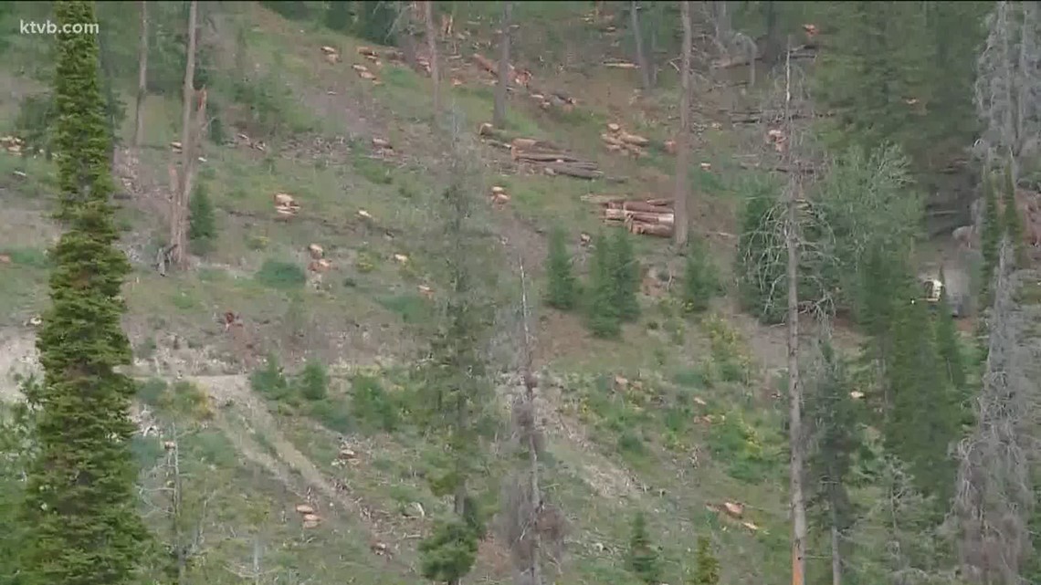 Hunter dies while packing out elk in remote Boise County area near Bald Mountain, sheriff says