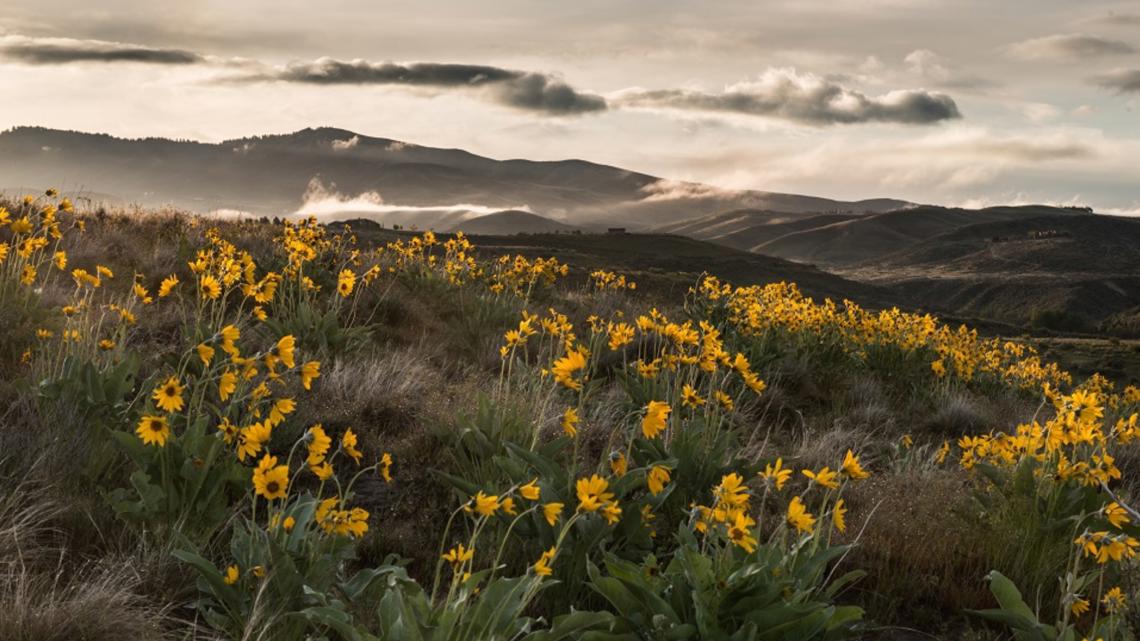 April showers bring muddy trails: What to expect in the Boise Foothills this spring
