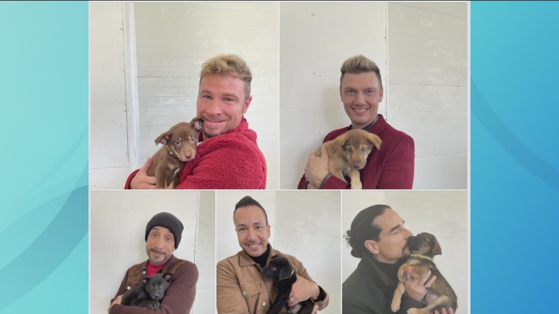 While on a recent tour stop, the band visited the "Nashville Humane Association, after learning that a litter of puppies had just been born and named after them.
