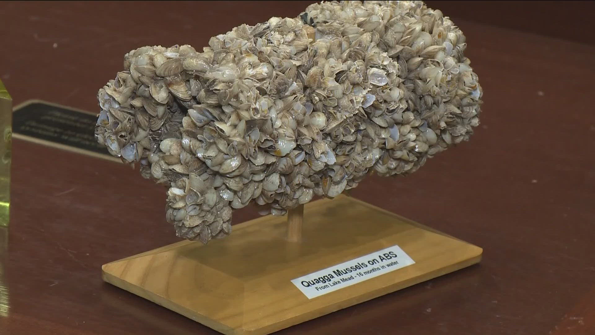 The bill is meant to help the state prevent invasive species like quagga mussels from entering Idaho's waterways.