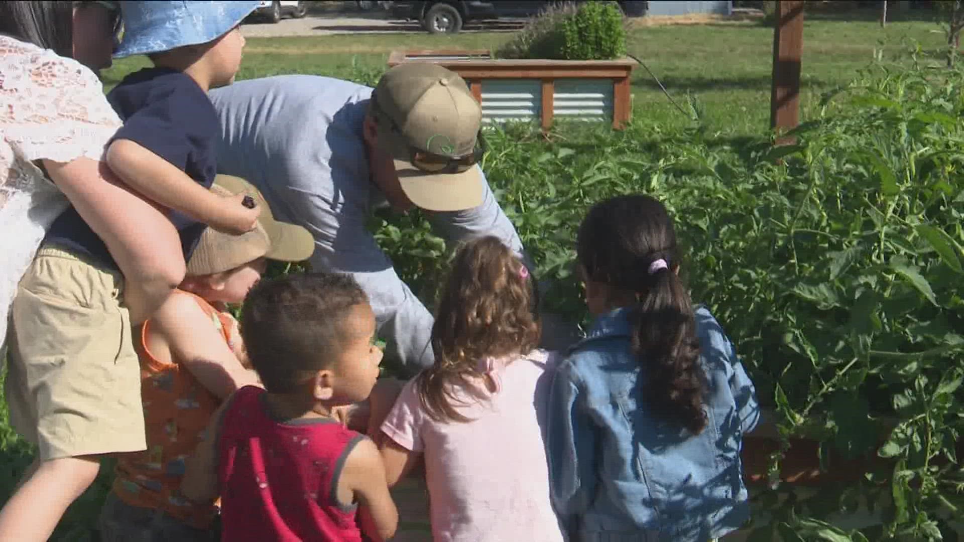 Global Gardens and Nutrition Works have teamed up to provide fresh produce for seven daycare centers in the Treasure Valley.