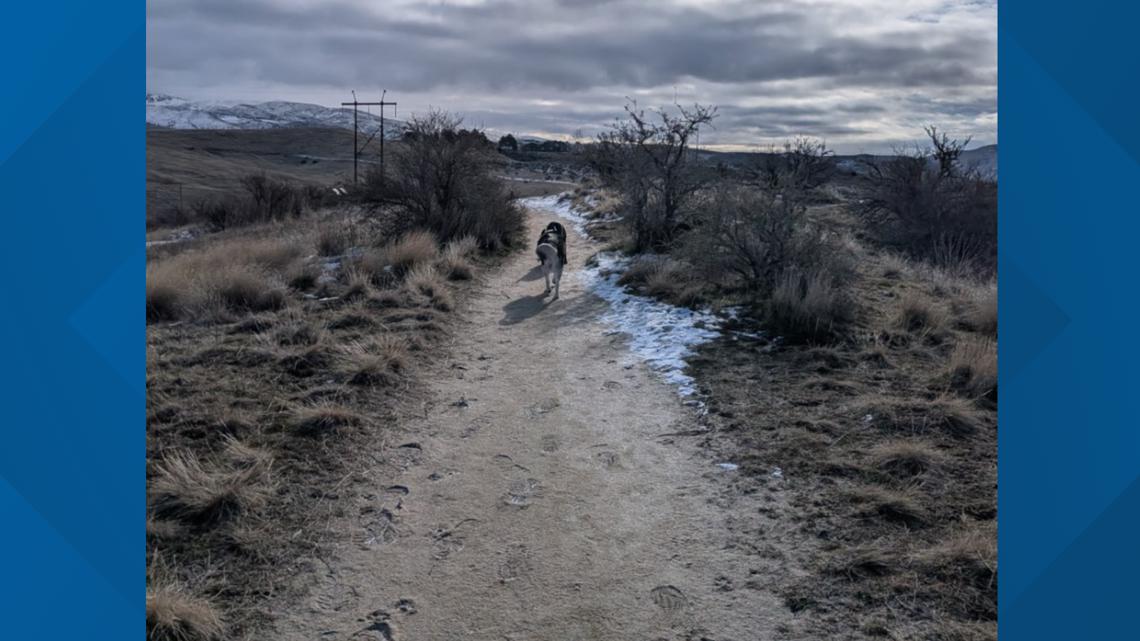 'Prone to danger': Boiseans urged to avoid foothills trails following wet weather