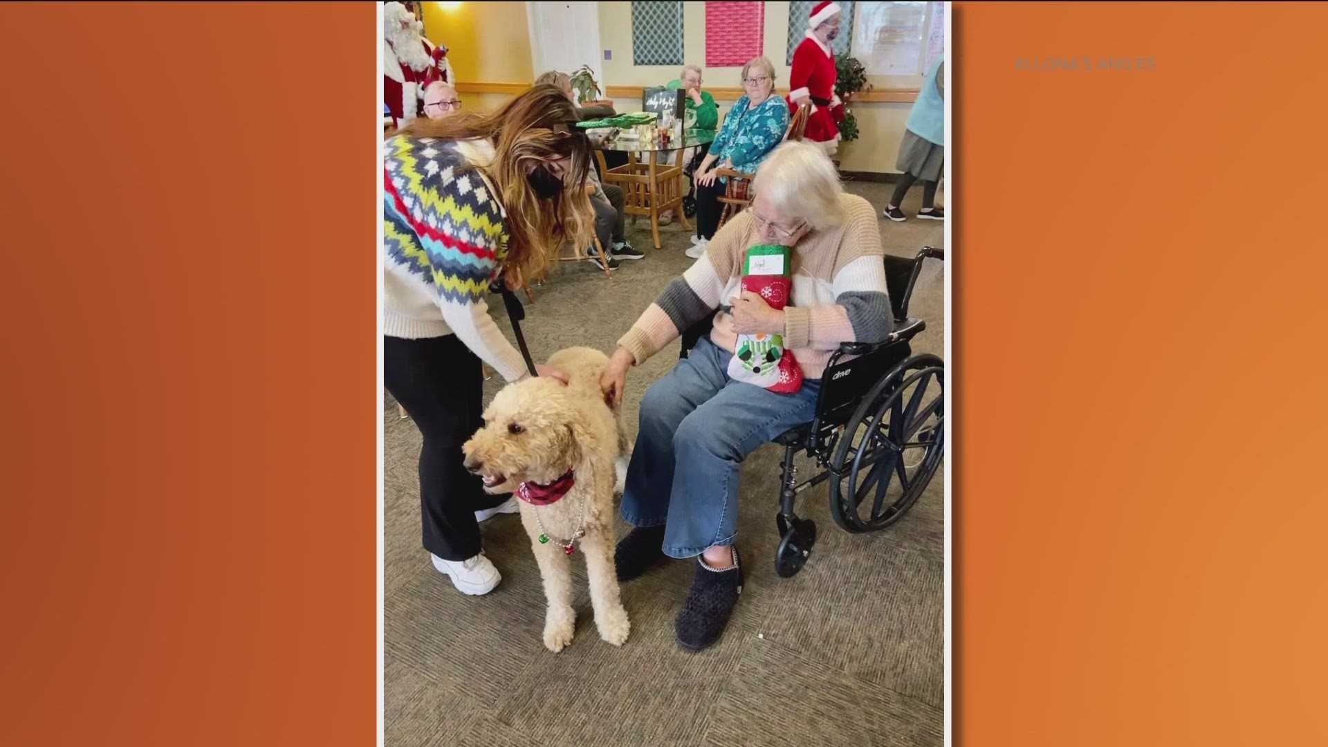 It's that time of year to adopt a local senior for Christmas. Allona's Angels is at it again!