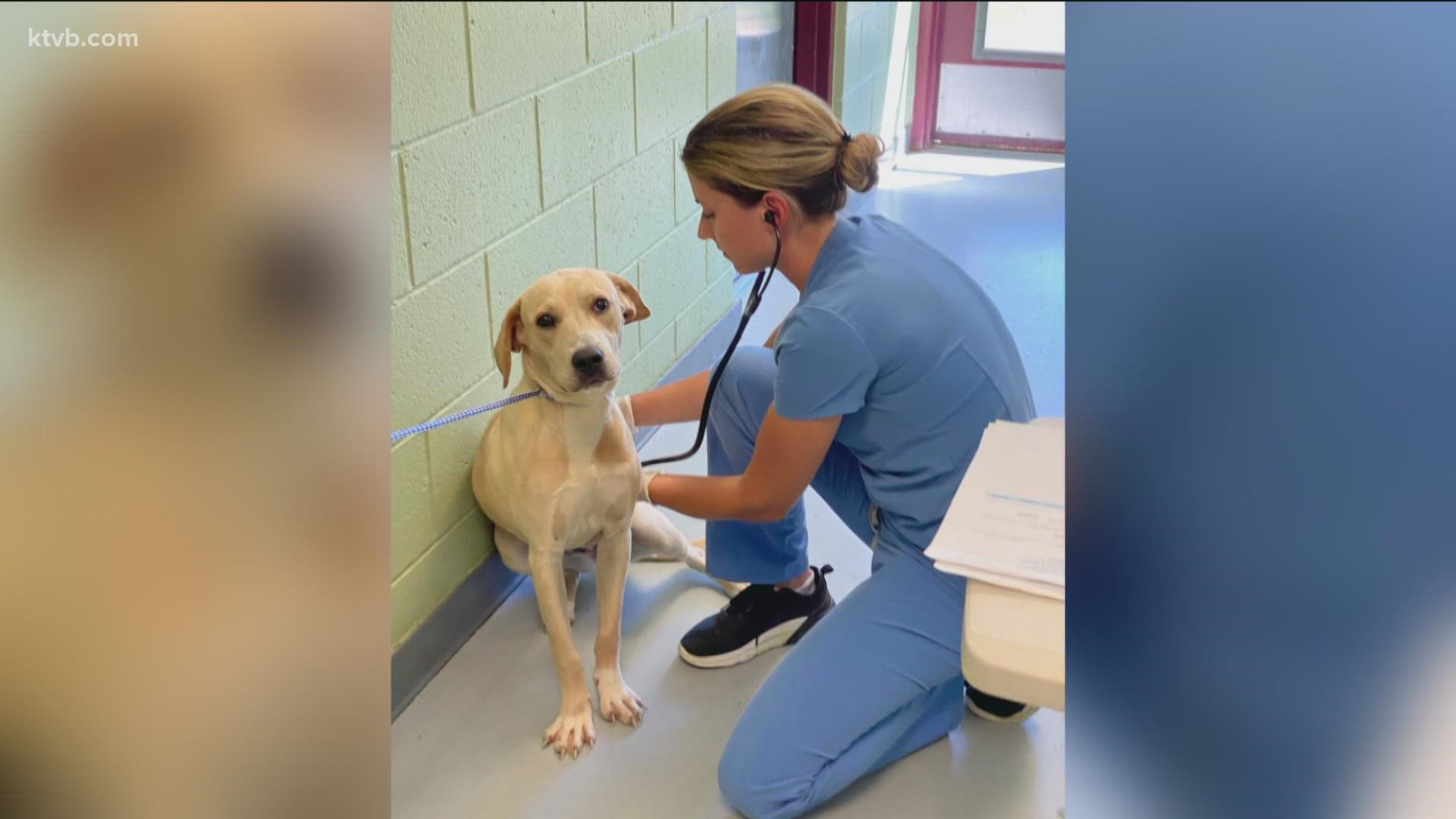 Zamzows large donation to Idaho Humane Society