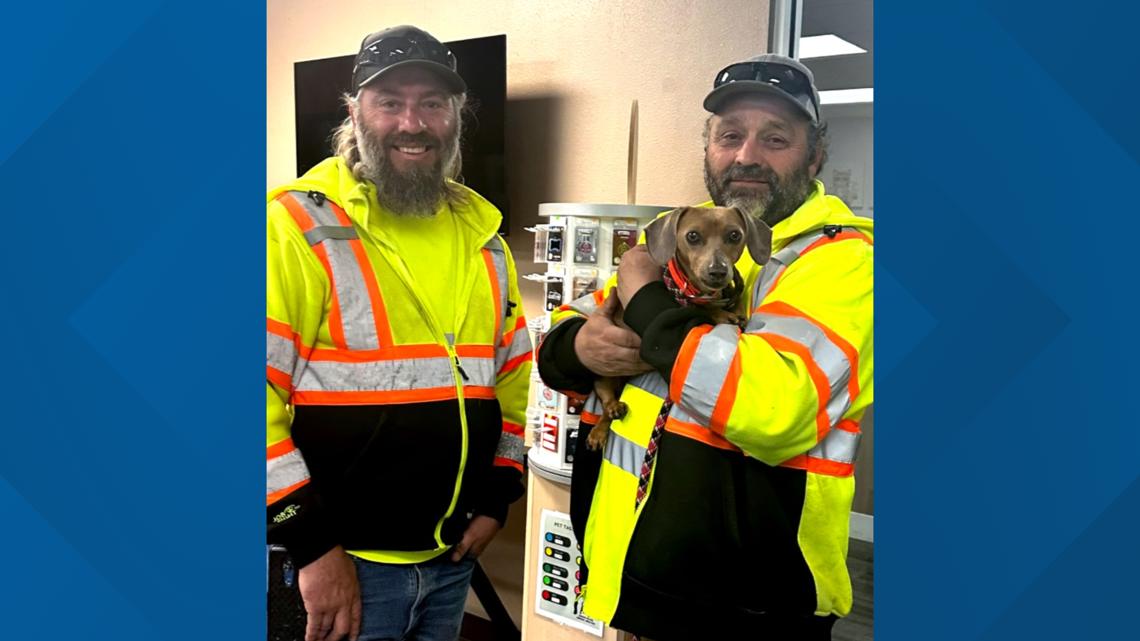ITD workers rescue small dog in eastern Idaho, plan return to Canadian woman after crash