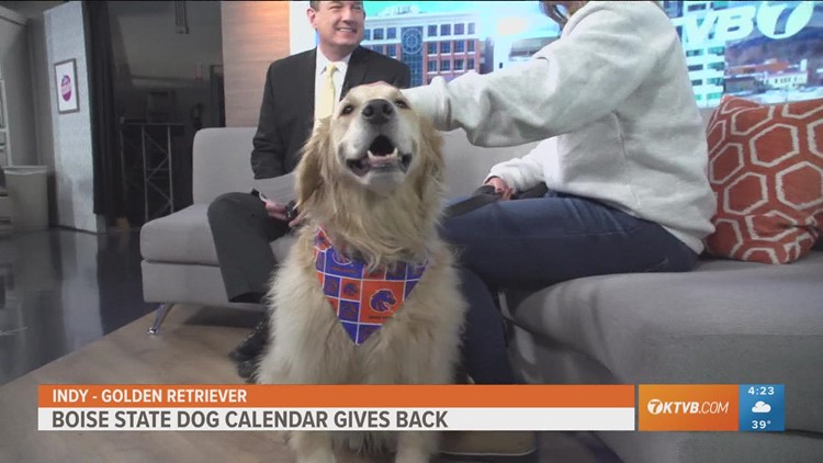 2023 Dogs of Boise State calendar gives back
