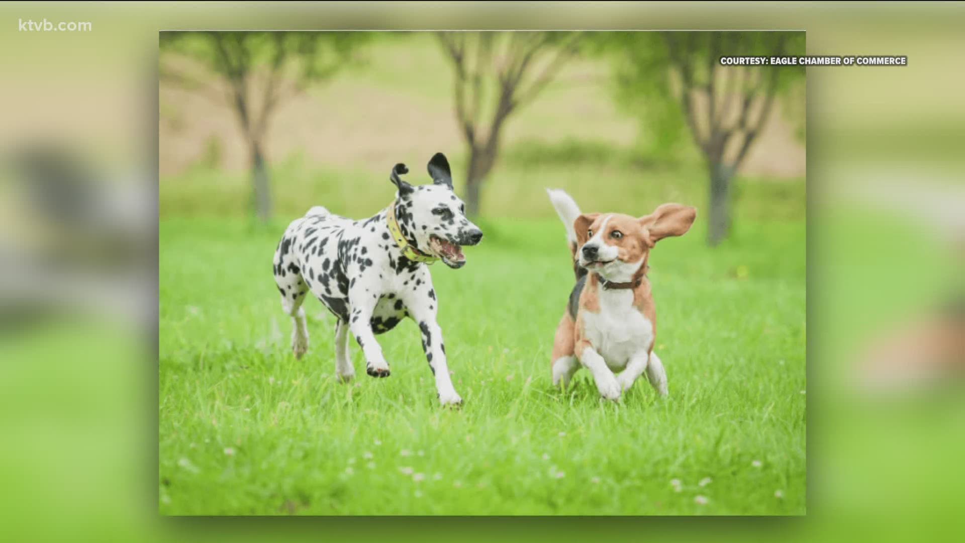 After many years, the city of Eagle is finally getting a dog park.